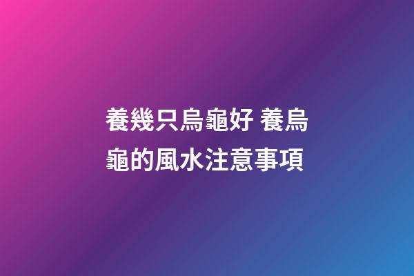 養幾只烏龜好 養烏龜的風水注意事項
